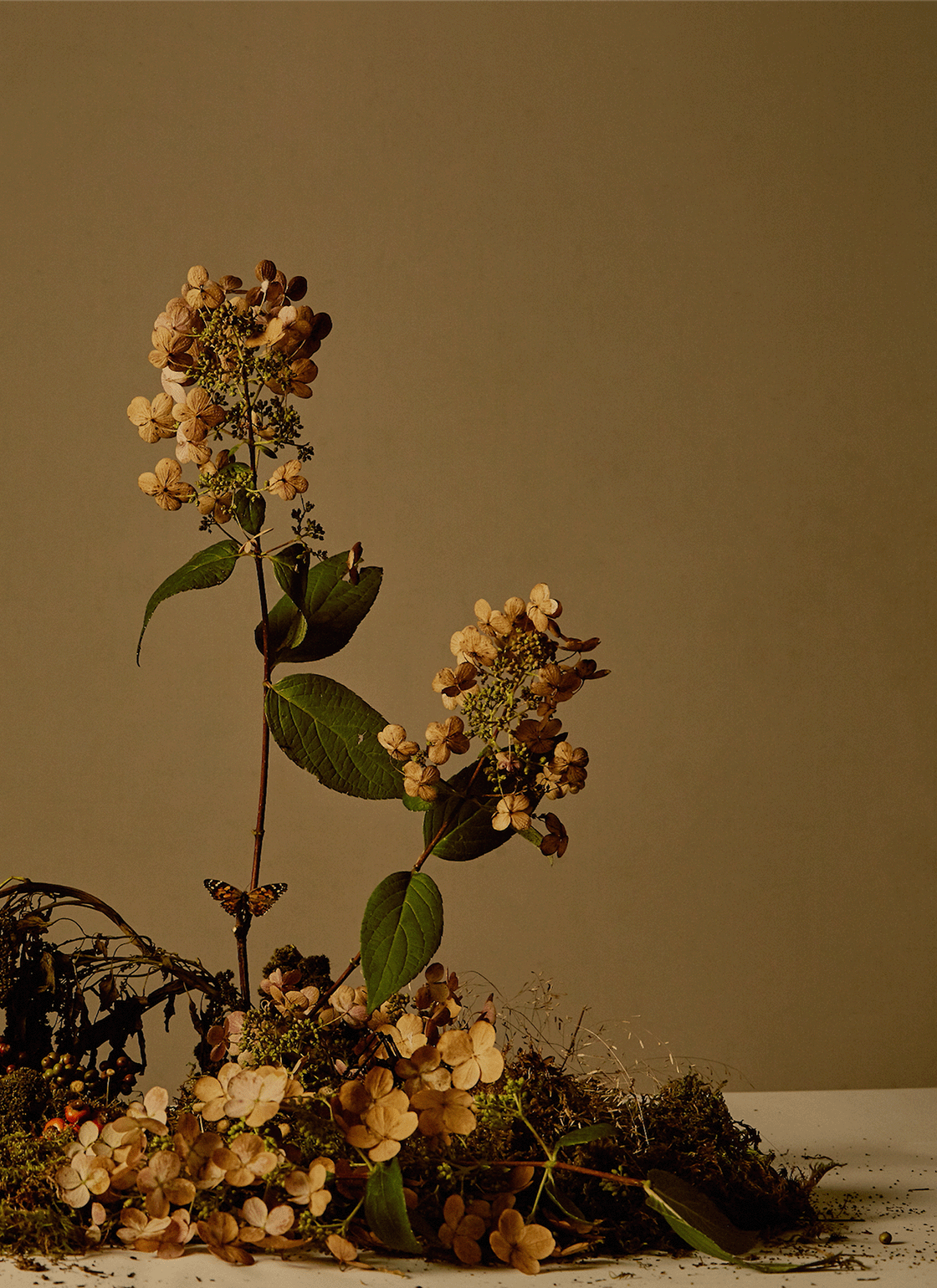 Falling Trees - Eau de Parfum