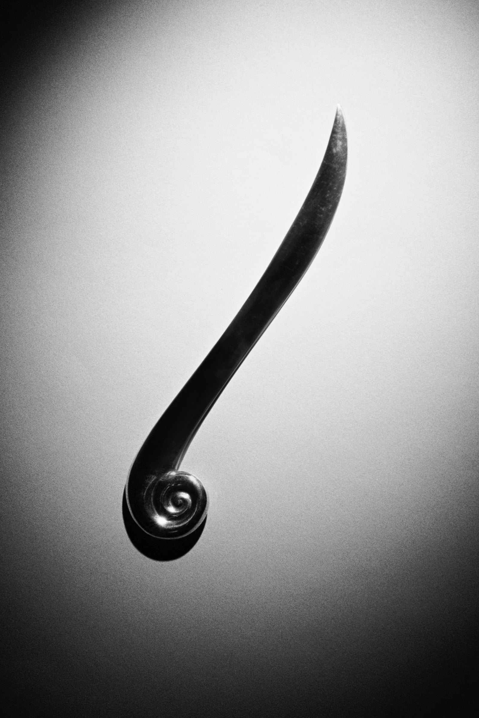 Nautilus Knife