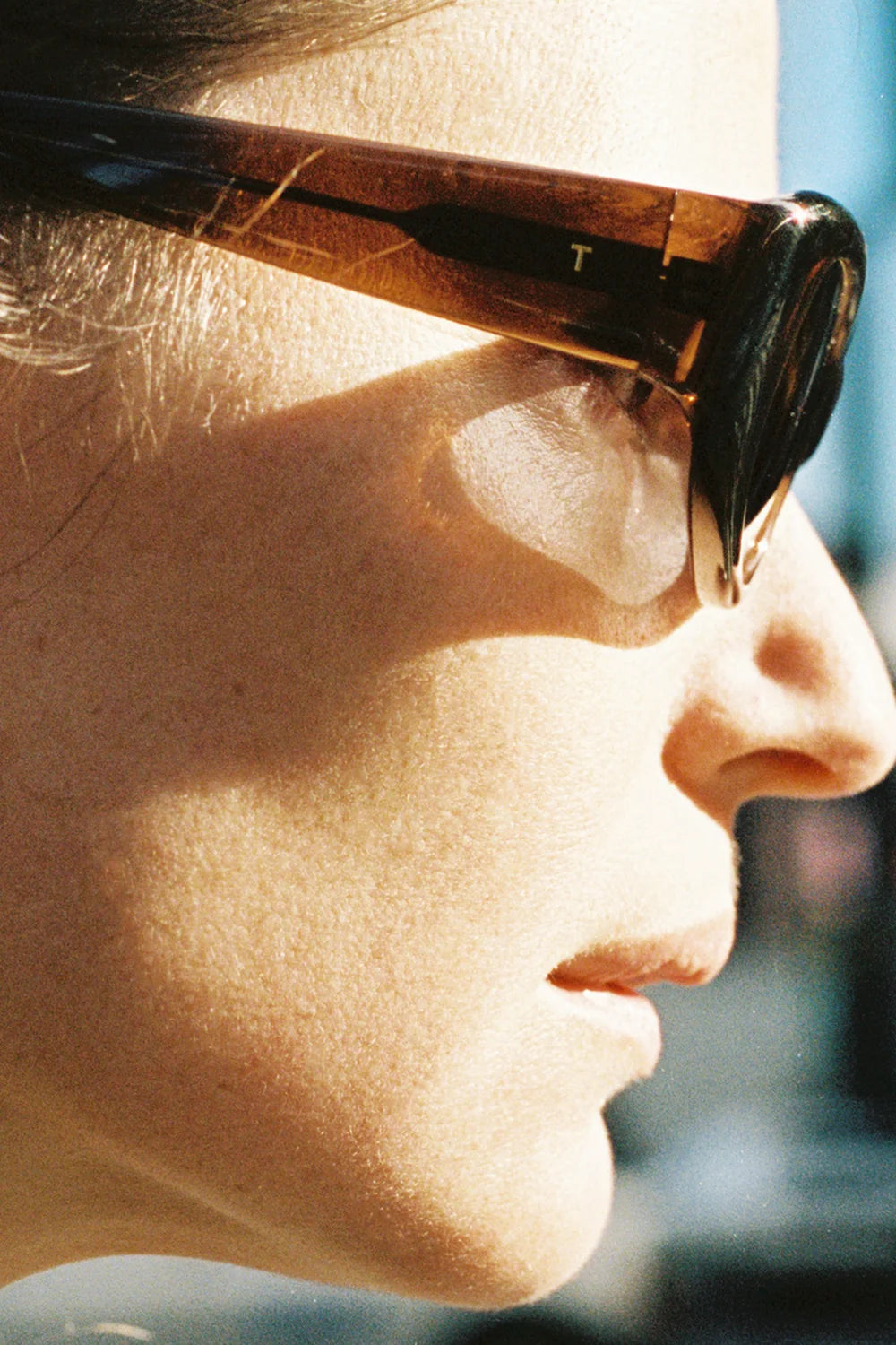 The AL - Crystal Brown with Black Lens