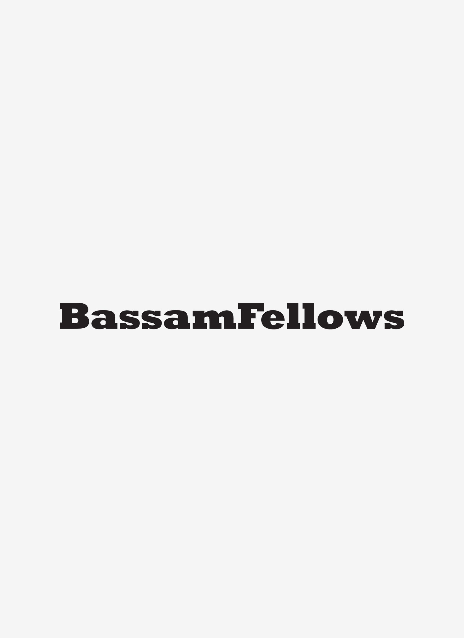 BassamFellows - Launching September 2024