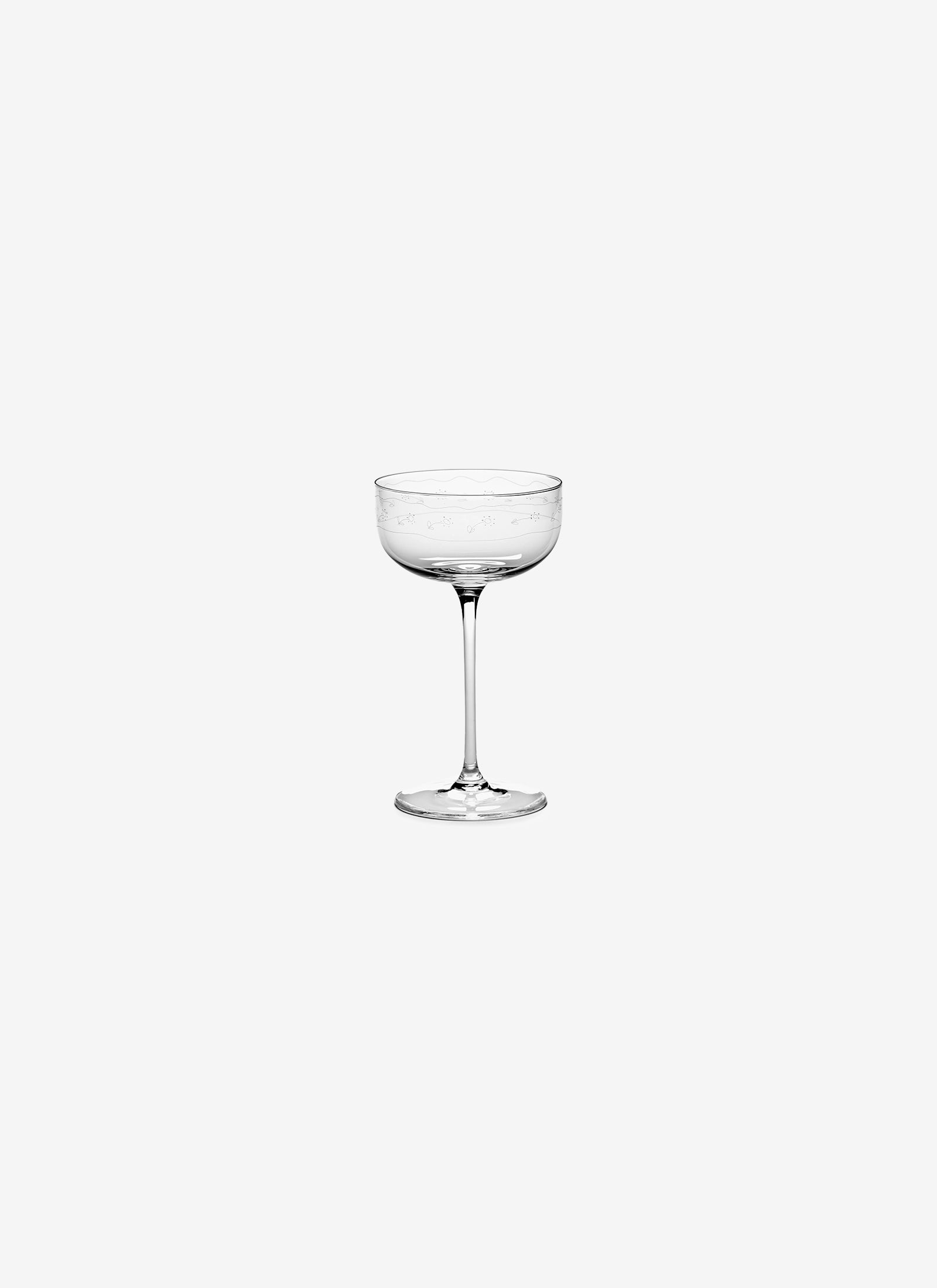 Serax x Marni Champagne Coupe Glass - Anemone Vaniglia Midnight Flowers (Set of 4)