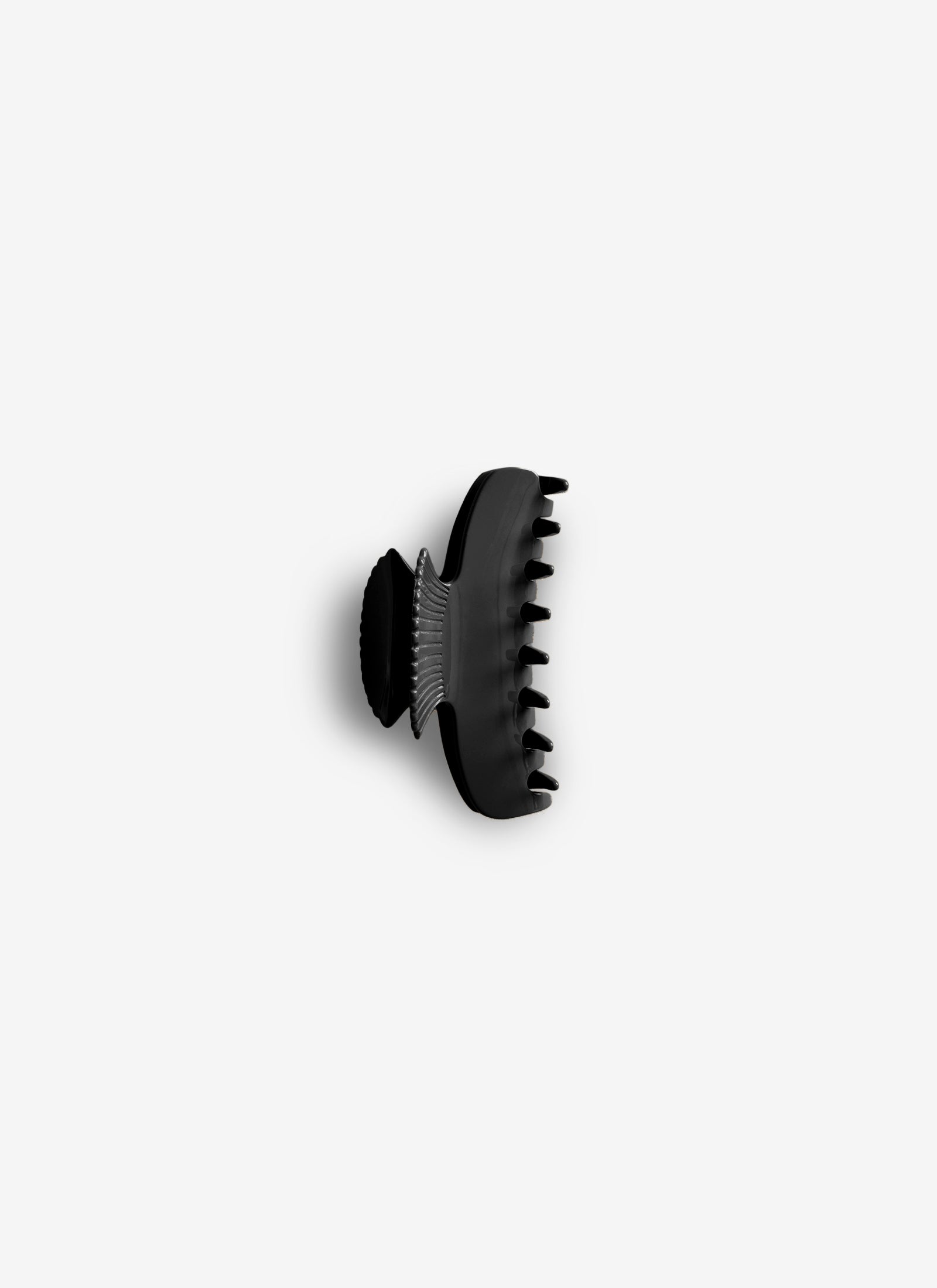 Large Fan Shell Claw Clip - Noir