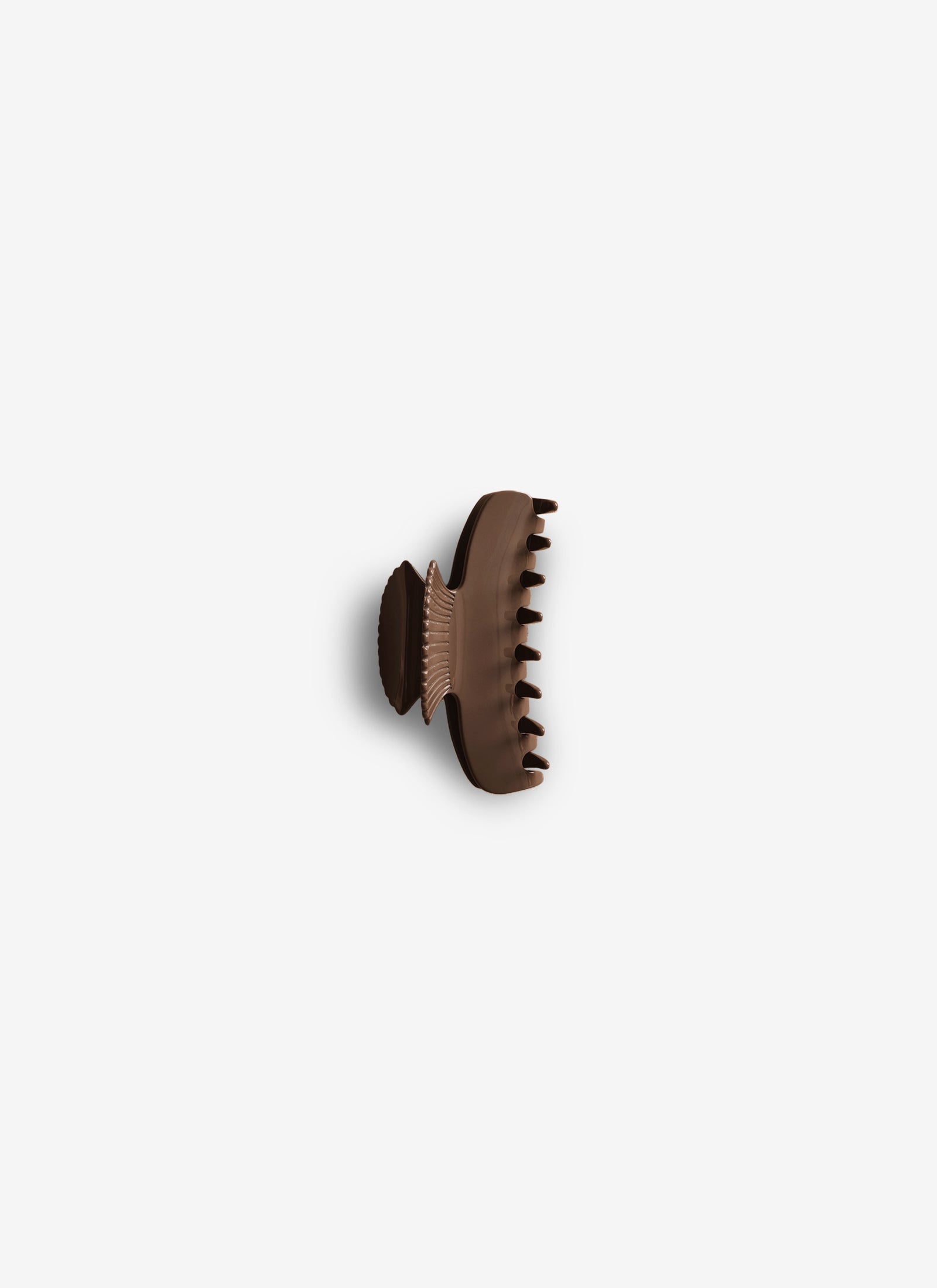 Small Fan Shell Claw Clip - Chocolate