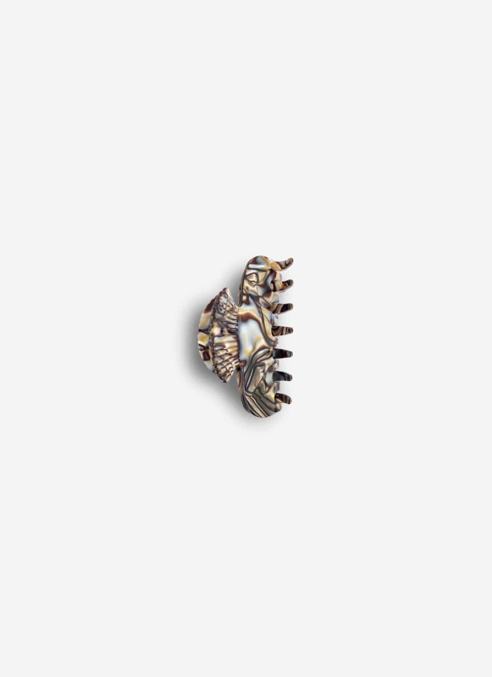 Small Fan Shell Claw Clip - Abalone
