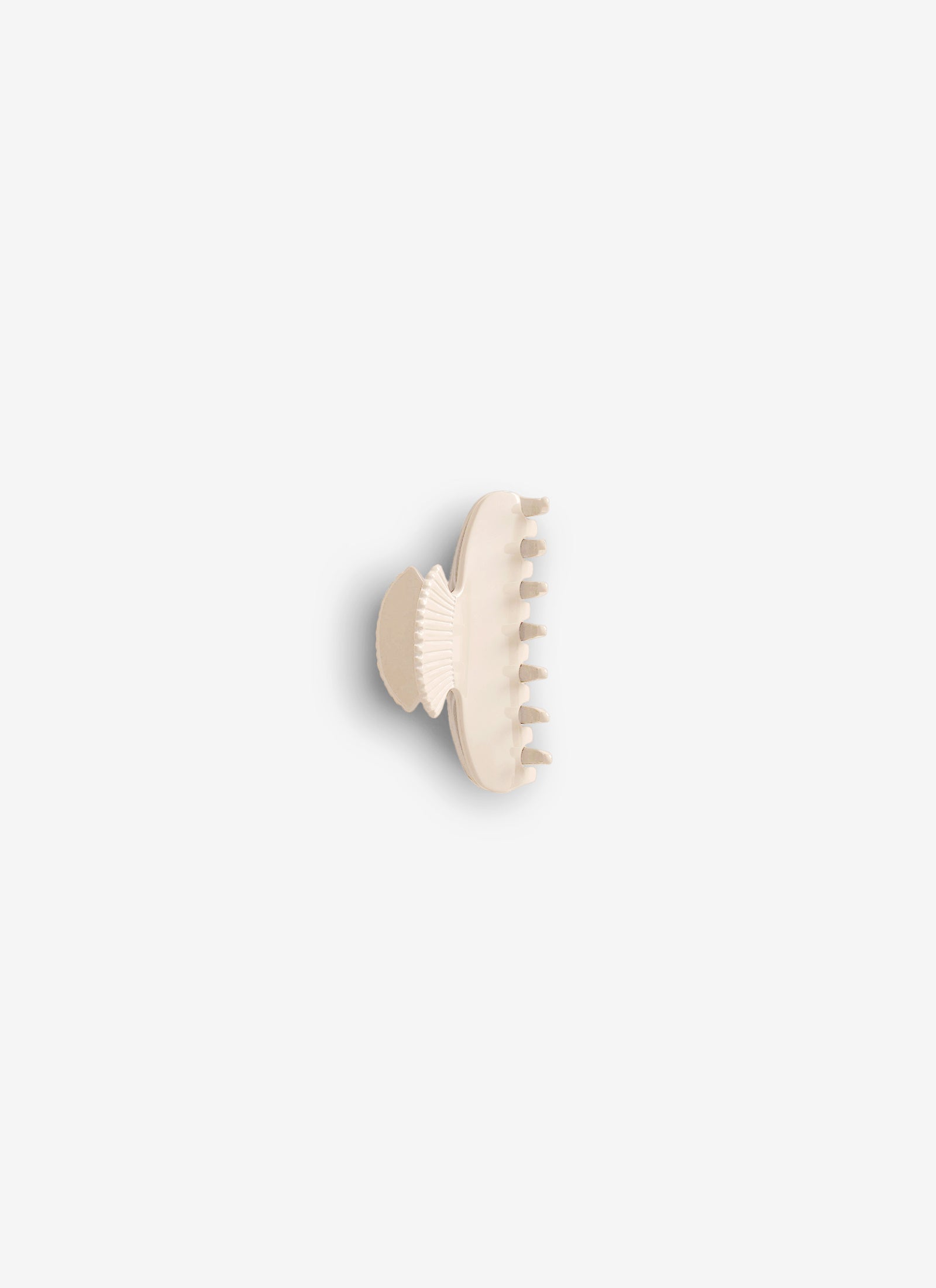 Small Fan Shell Claw Clip - Ivory
