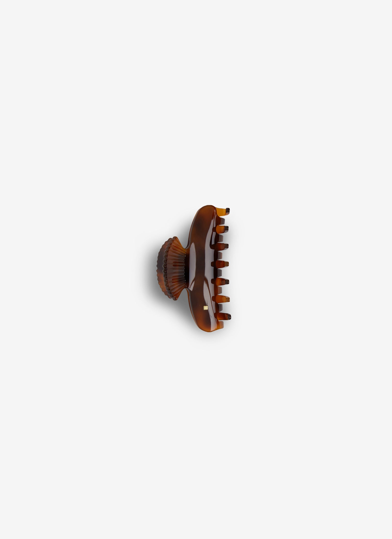 Small Fan Shell Claw Clip - Tortoise