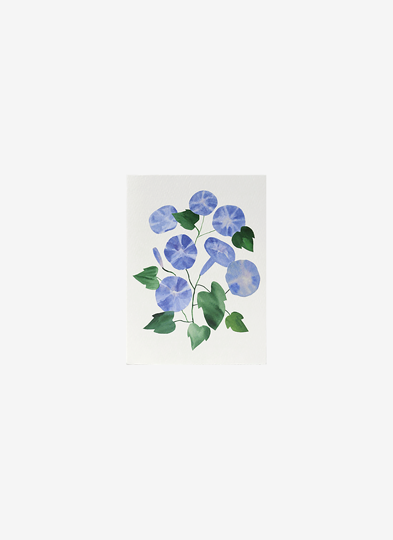 Morning Glory Note Card