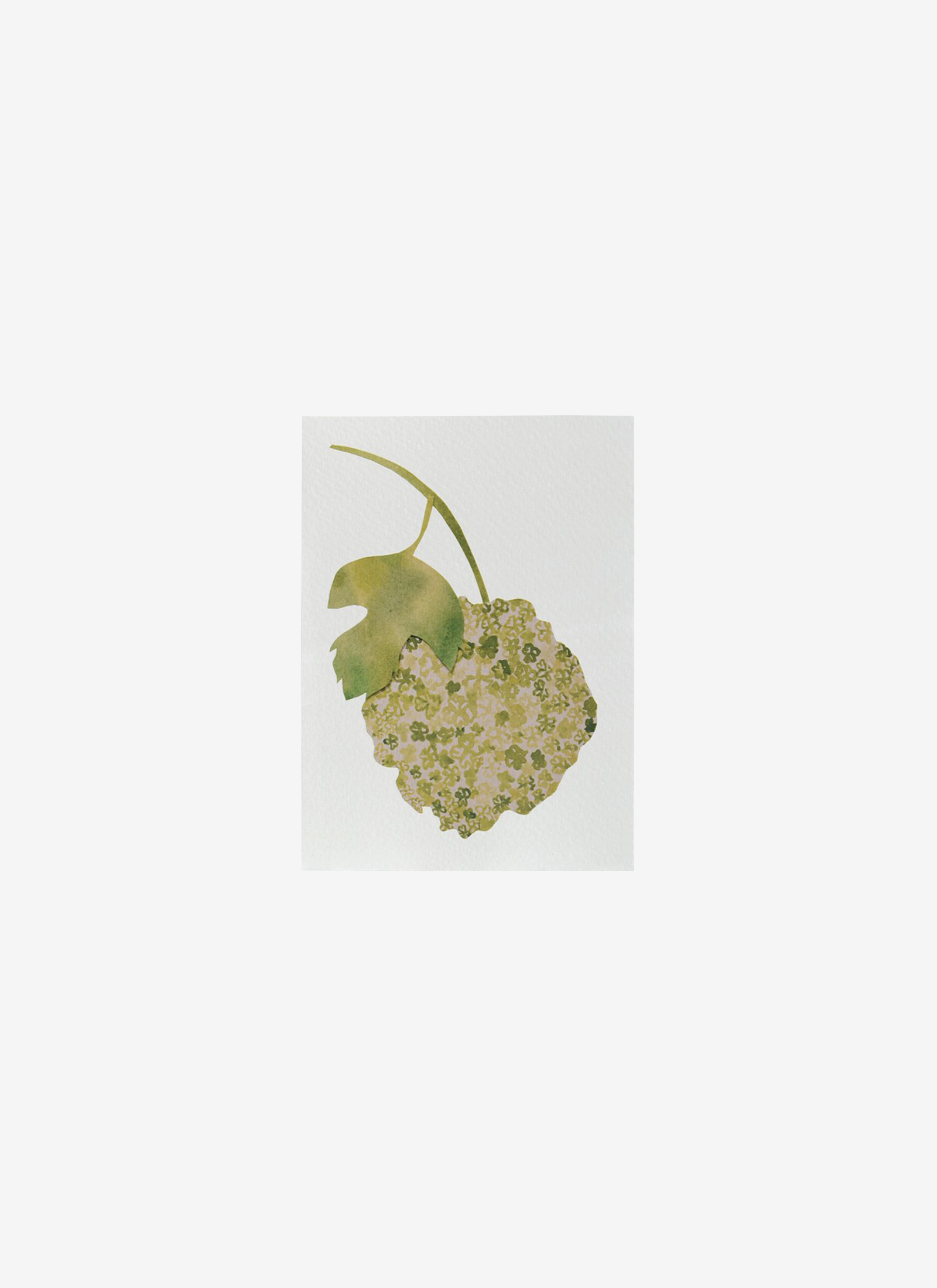 Snowball Viburnum Note Card